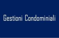 Gianluca Pisanelli (Gallarate) logo