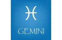 Studio Gemini F. G. – Amministrazioni Condominiali (Bologna) logo