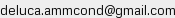 Indirizzo email